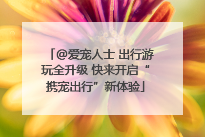 @爱宠人士 出行游玩全升级 快来开启“携宠出行”新体验
