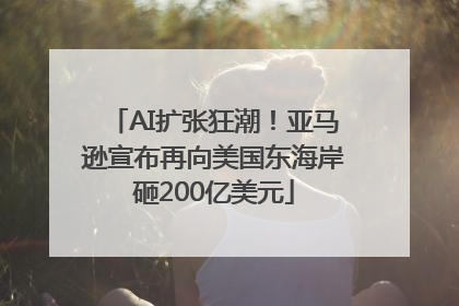AI扩张狂潮！亚马逊宣布再向美国东海岸砸200亿美元