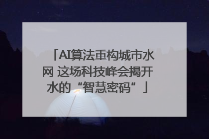 AI算法重构城市水网 这场科技峰会揭开水的“智慧密码”