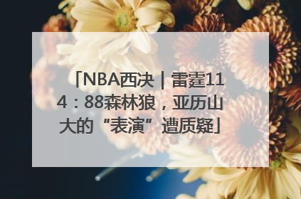 NBA西决｜雷霆114：88森林狼，亚历山大的“表演”遭质疑