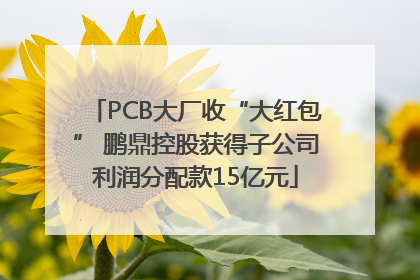 PCB大厂收“大红包” 鹏鼎控股获得子公司利润分配款15亿元